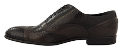 Dolce & Gabbana Braune Oxford-Schnürschuhe aus Eidechsenleder