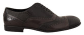 Dolce & Gabbana Braune Oxford-Schnürschuhe aus Eidechsenleder