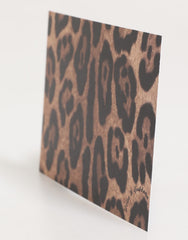 Dolce & Gabbana Leopard-Print-Umschlag Kartenetui aus Papier in verschiedenen Farben