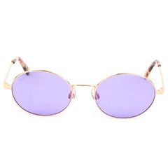 WEB EYEWEAR Gold Metal Sunglasses