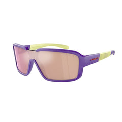 Arnette Zonnebril met Paarse Hars