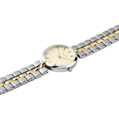 Pierre Cardin Gray Stainless Steel Dress Watch