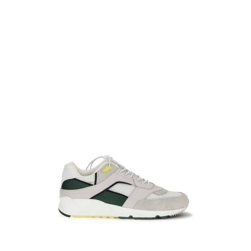 Saint Laurent Multicolor Kalbsleder Bos Taurus Low Top Sneaker