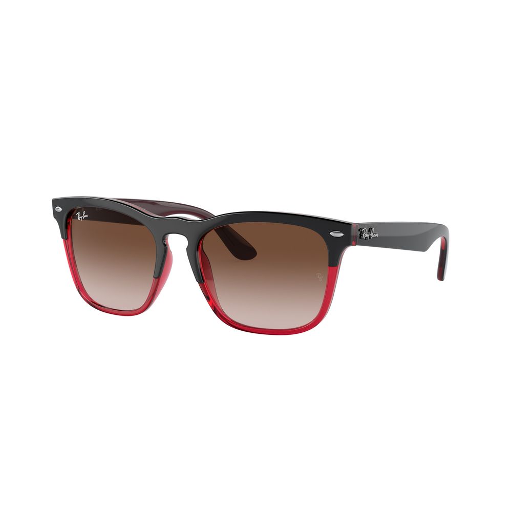 Ray-Ban Multicolor Nylon Sunglasses