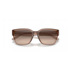 Arnette Beige Injected Sunglasses