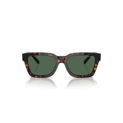 Arnette Brown Injected Sunglasses
