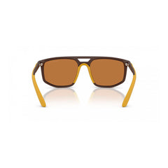 Emporio Armani Brown Injected Sunglasses