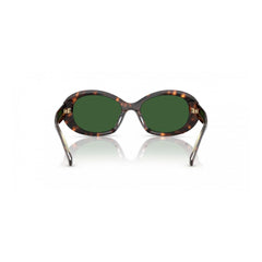 Tory Burch Brown Acetate Sunglasses