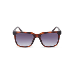 Police Brown Injected Sunglasses