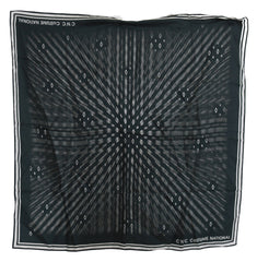 Costume National Blue Foulard Silk Women  Scarf