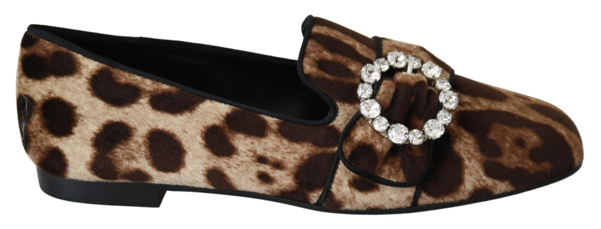 Dolce & Gabbana Braune Loafer mit Leopardenmuster und Kristallen