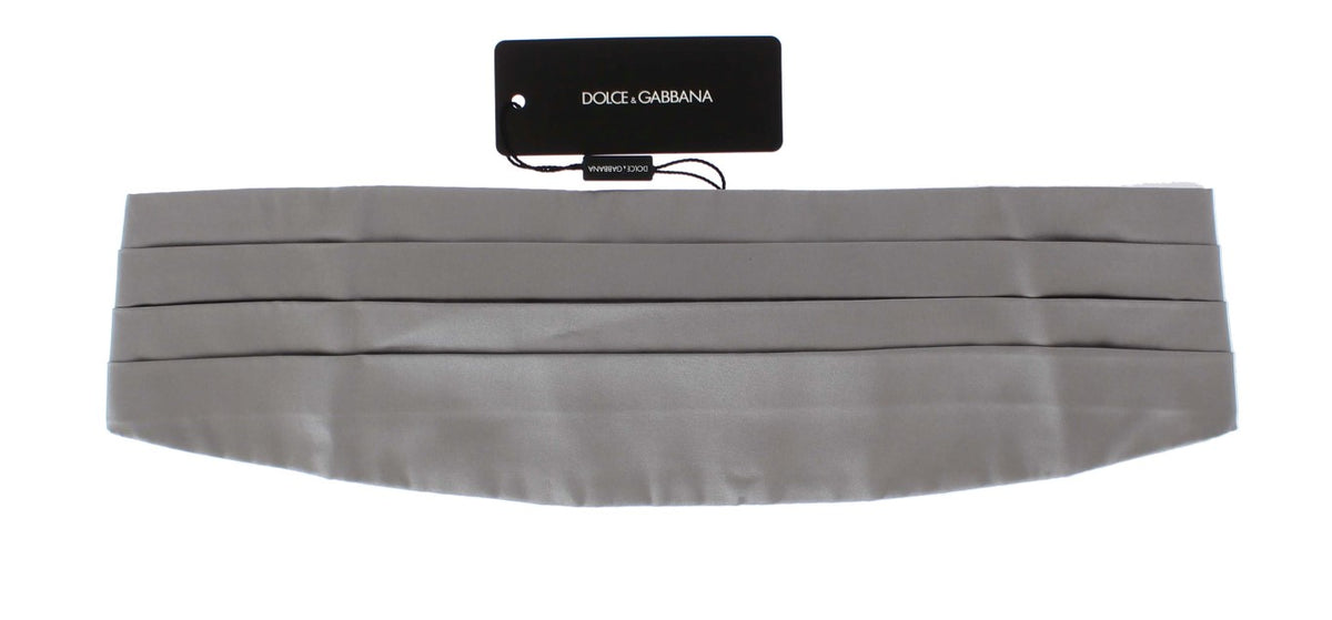 Dolce & Gabbana Seidenkrawatte mit breitem Gürtel in Silber
