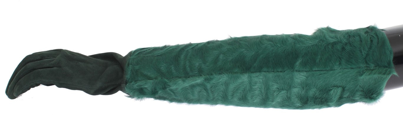 Dolce & Gabbana Grüne Leder-Xiangao-Fell-Ellenbeugen-Handschuhe