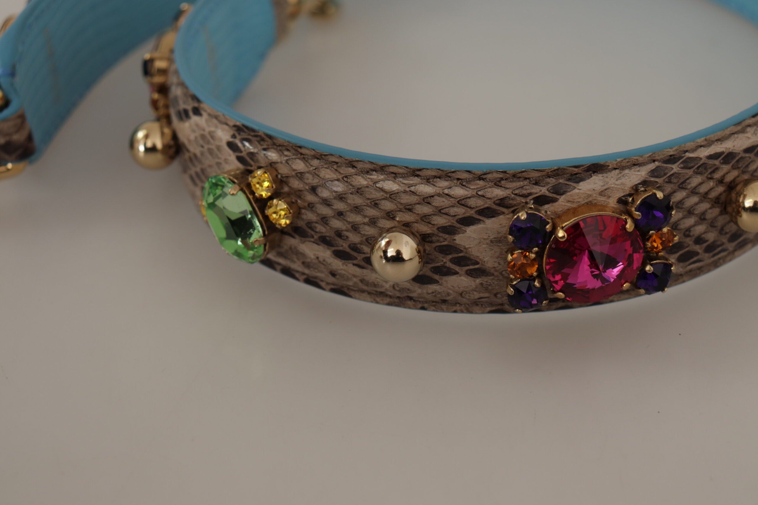 Dolce & Gabbana Bruine Exotische Leren Schouderband met Kristallen