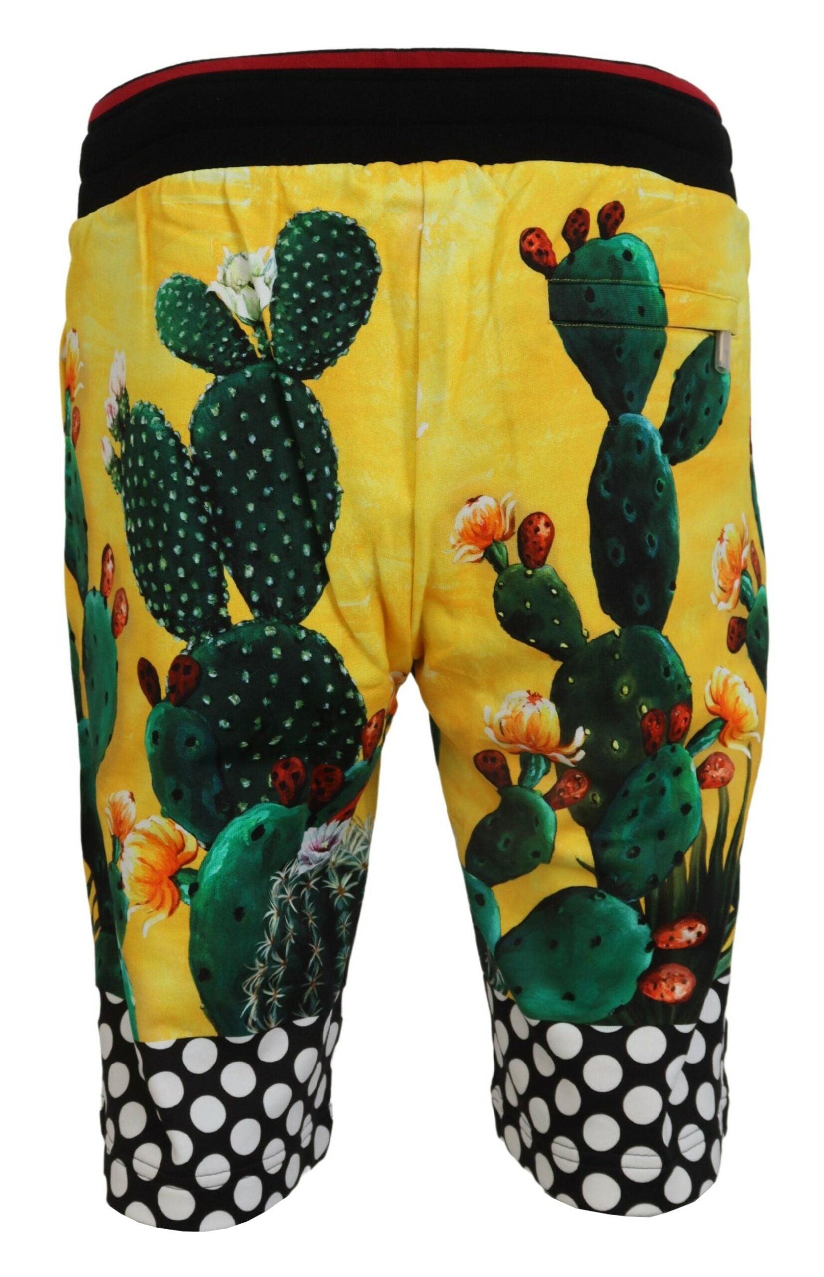 Dolce & Gabbana Sweatshorts aus Baumwolle mit Kaktusmuster in mehreren Farben