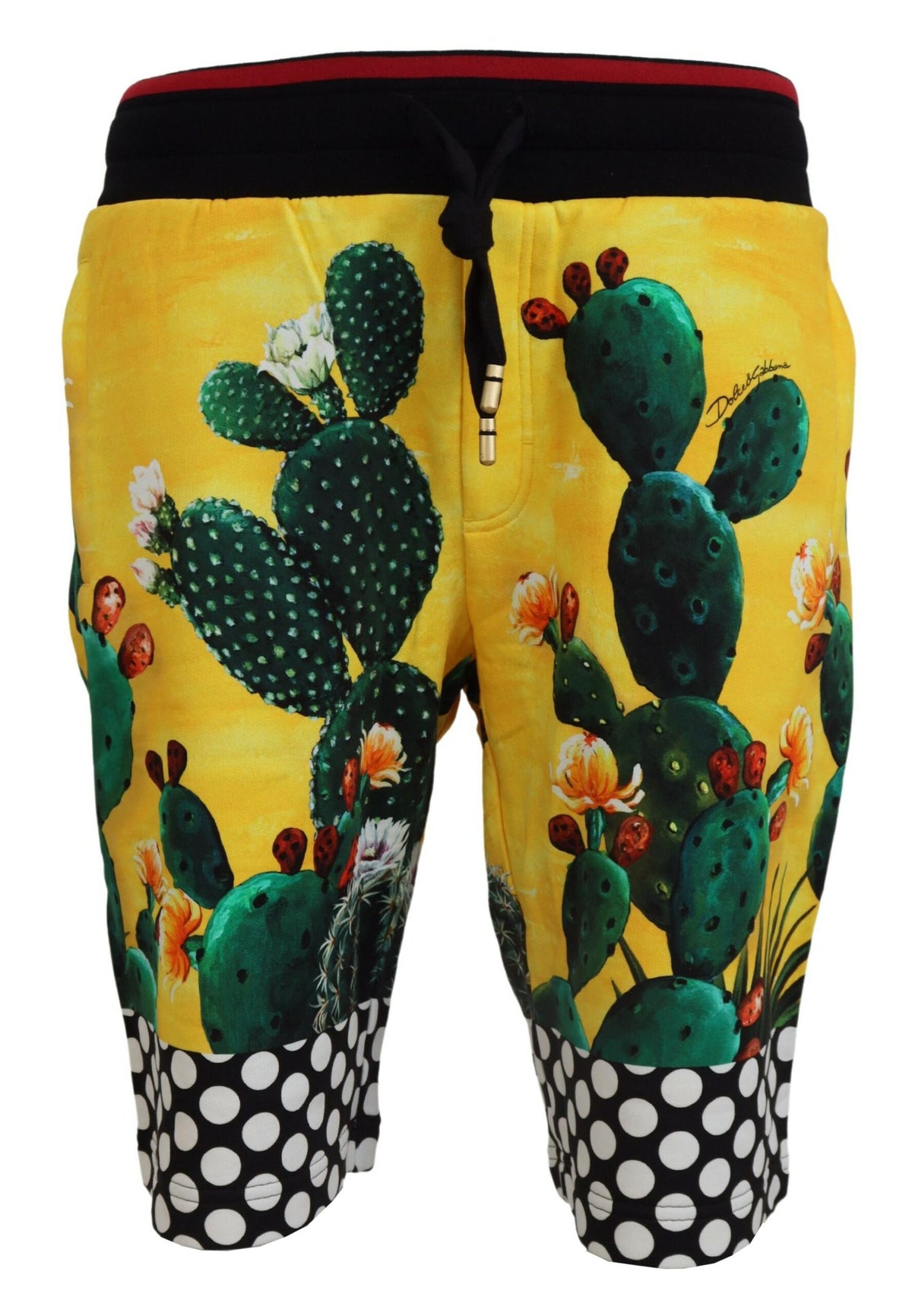 Dolce & Gabbana Sweatshorts aus Baumwolle mit Kaktusmuster in mehreren Farben