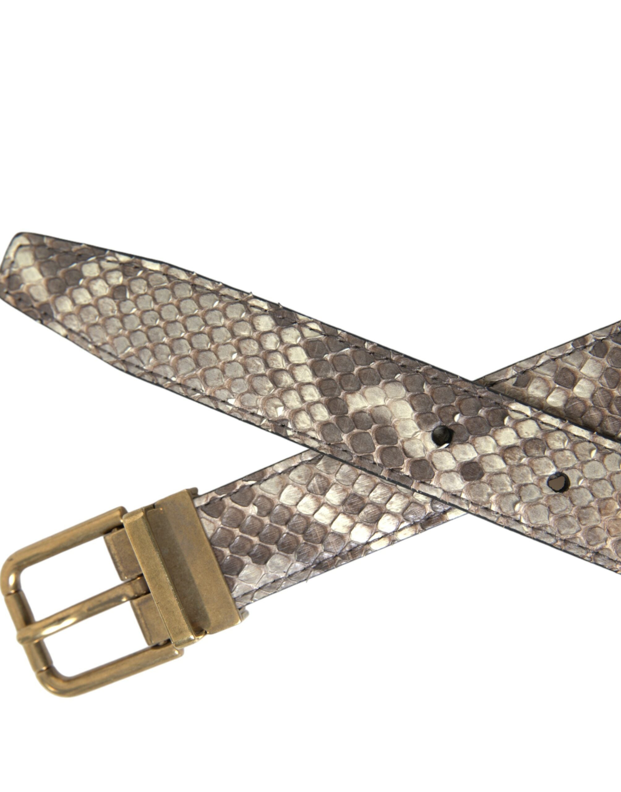 Dolce & Gabbana Bruine Python Leren Gouden Metalen Gesp Riem