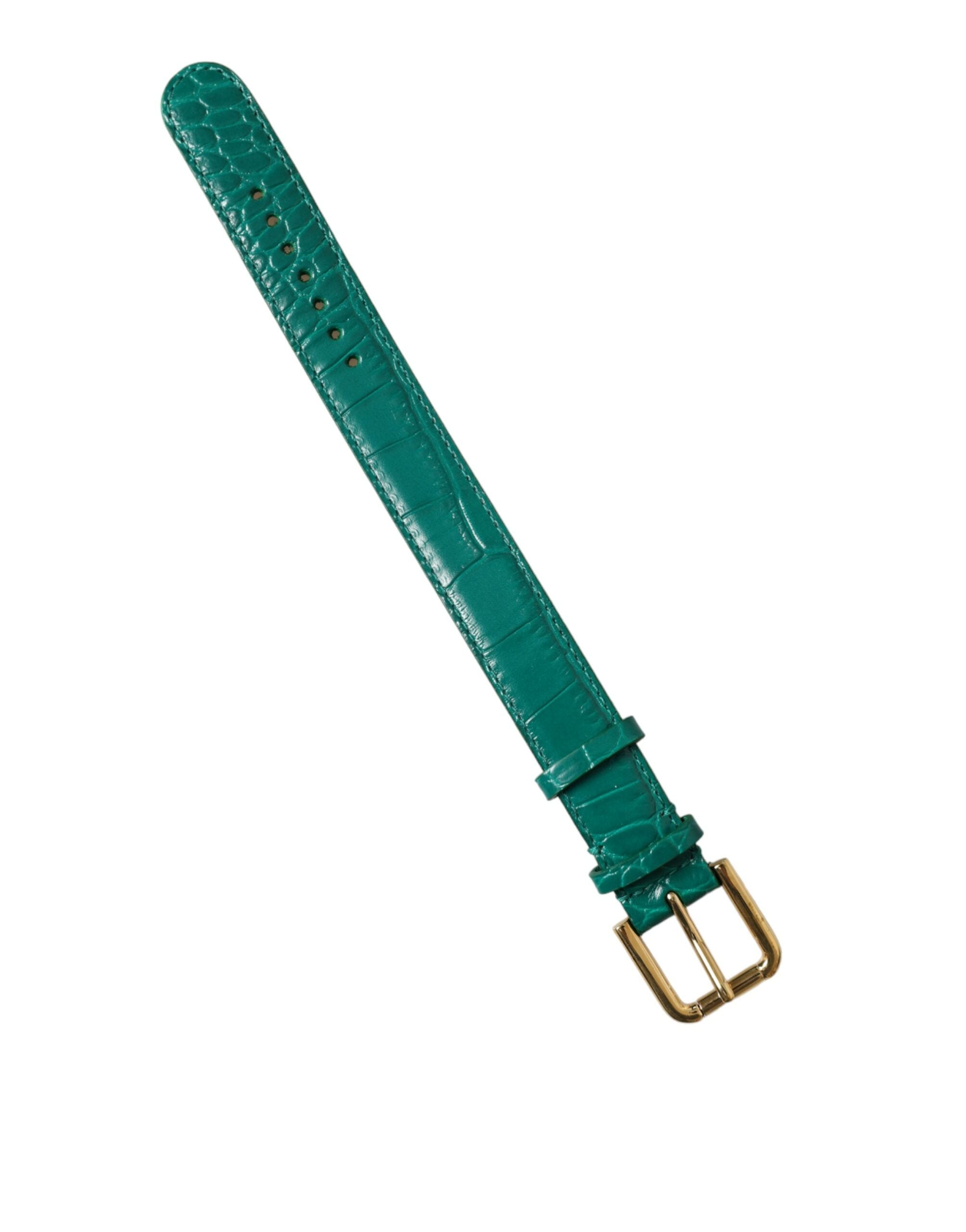 Dolce & Gabbana grünes strukturiertes Lederhalsband mit goldfarbener Metallschnalle