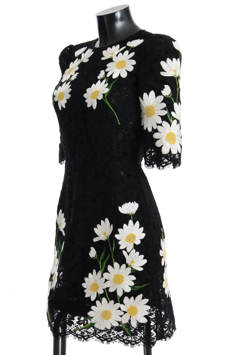 Dolce & Gabbana Schwarzes florales Spitzen-Kleid Chamomile Sicily