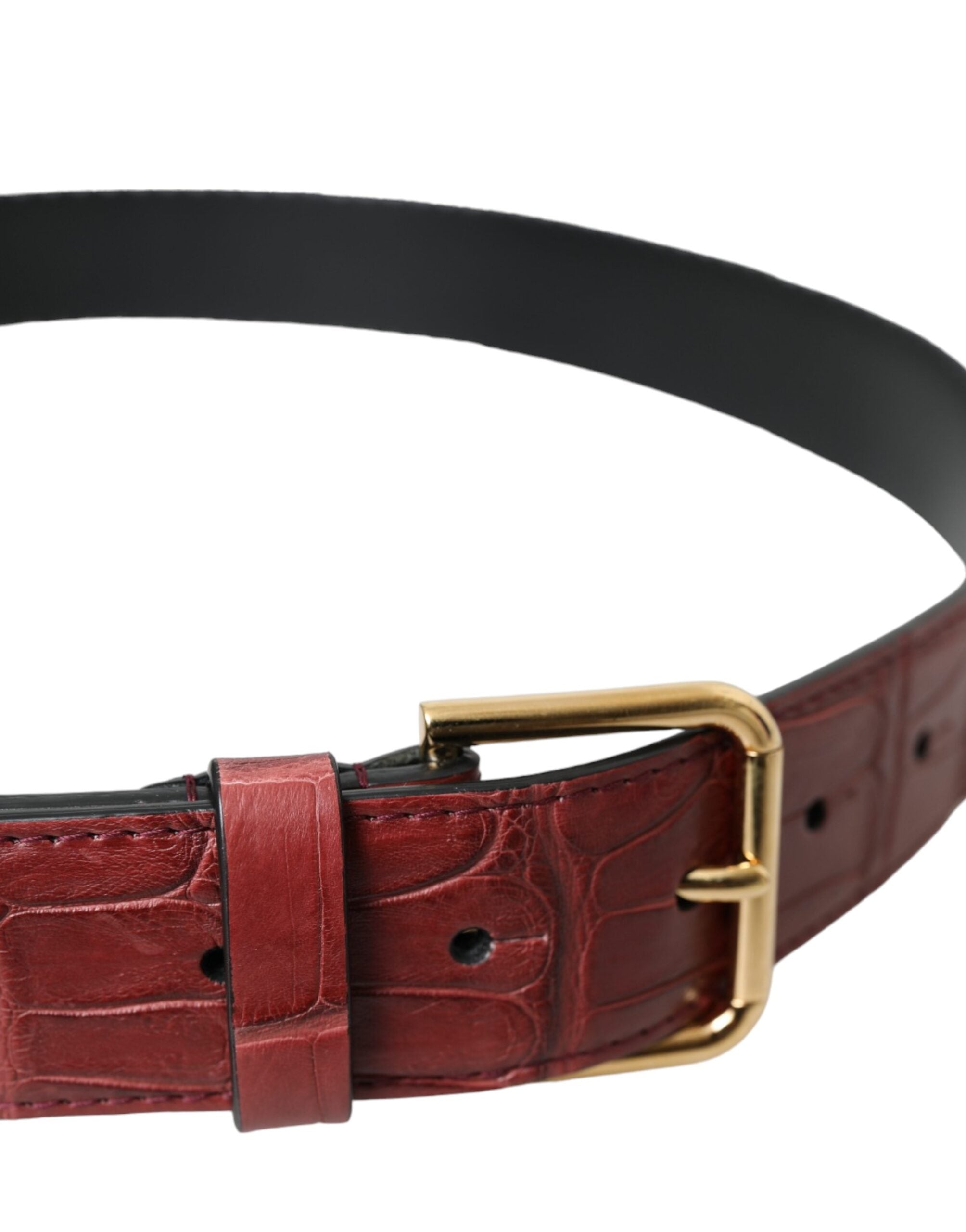 Dolce & Gabbana Brauner Alligatorleder-Gürtel mit Nieten und Metallschnalle