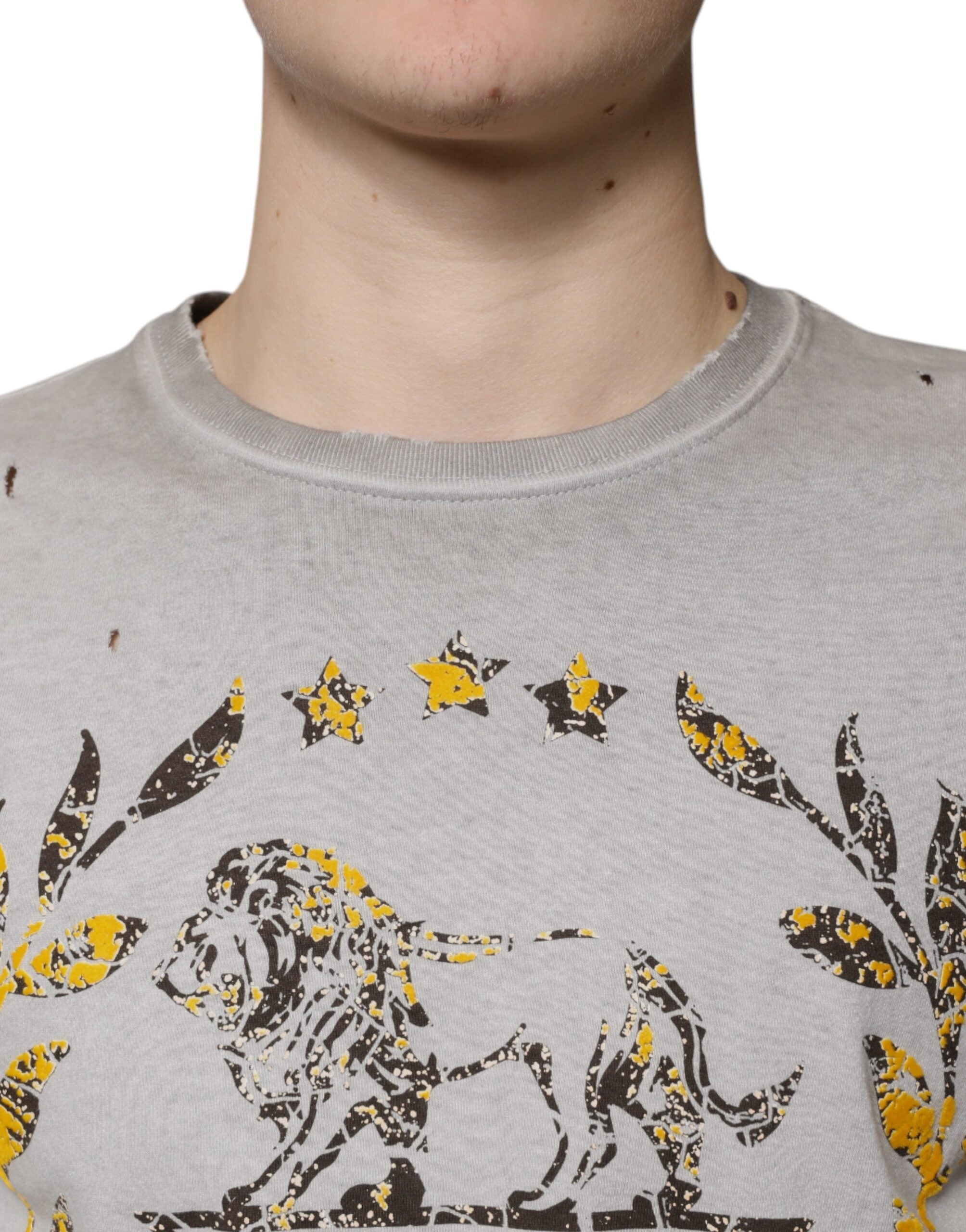Dolce & Gabbana Grauer Pullover mit Rundhalsausschnitt aus bedruckter Baumwolle