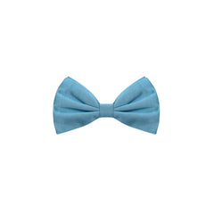 Dolce & Gabbana Blauwe Zijden Strik