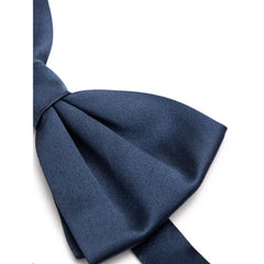 Dolce & Gabbana Blauwe Zijden Strik