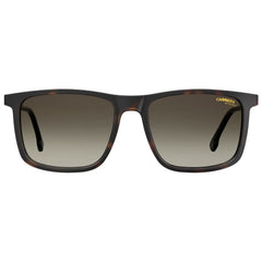 Carrera Brown Injected Sunglasses