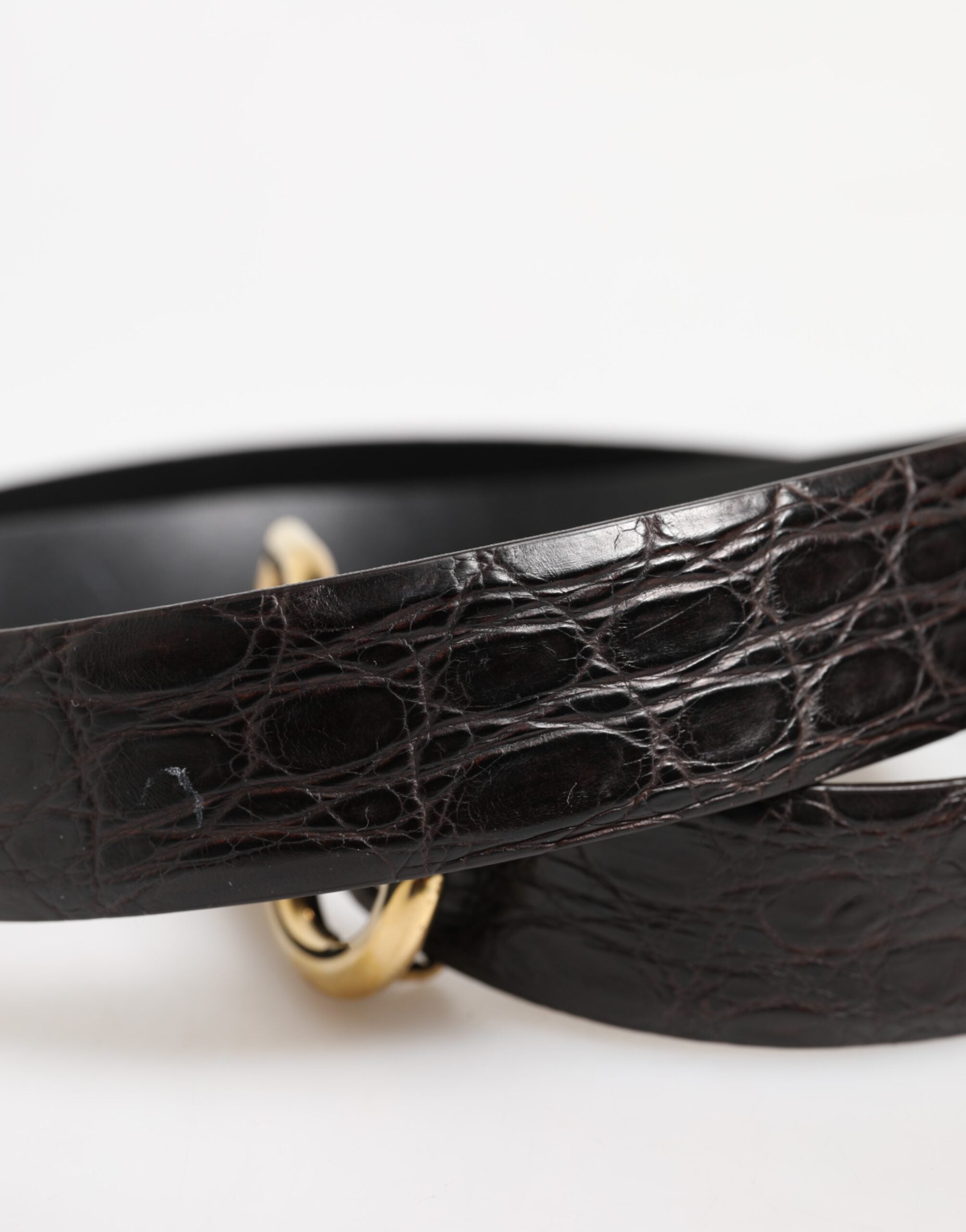 Dolce & Gabbana Zwarte Riem met Exotisch Leer en DG Logo Gesp