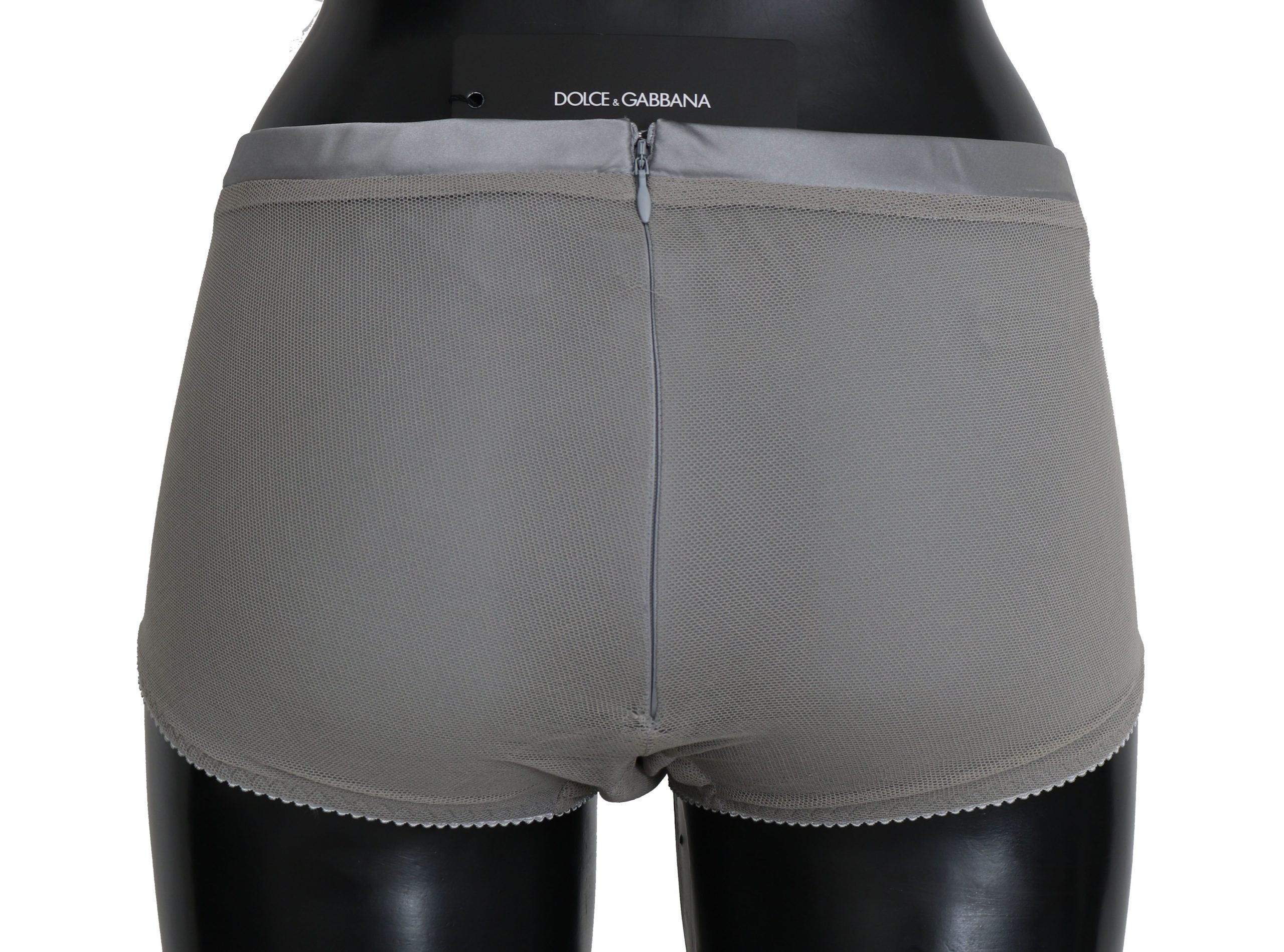 Dolce & Gabbana Underwear Silber mit Netz Seidenhöschen