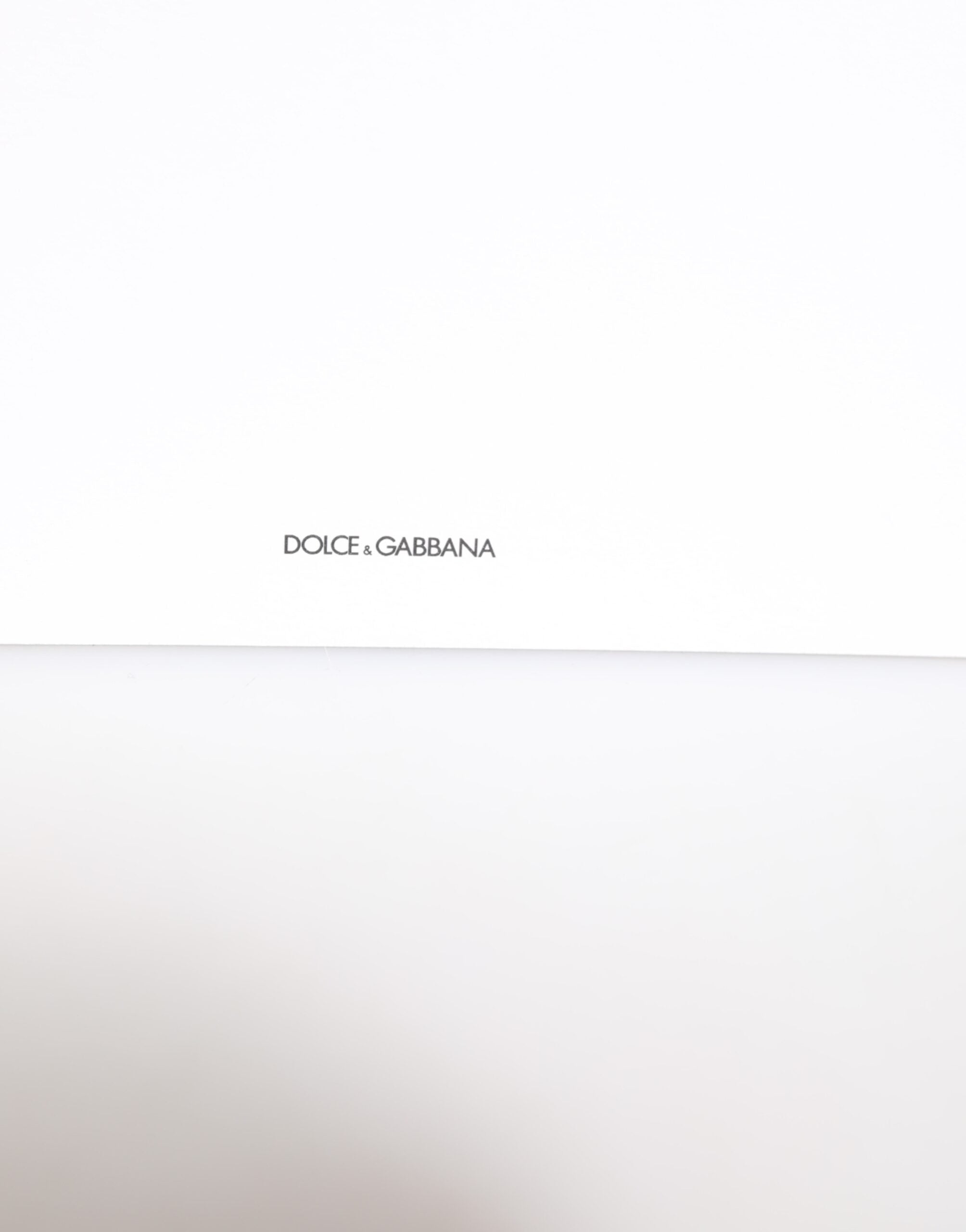 Dolce & Gabbana Leopard-Print-Umschlag Kartenetui aus Papier in verschiedenen Farben