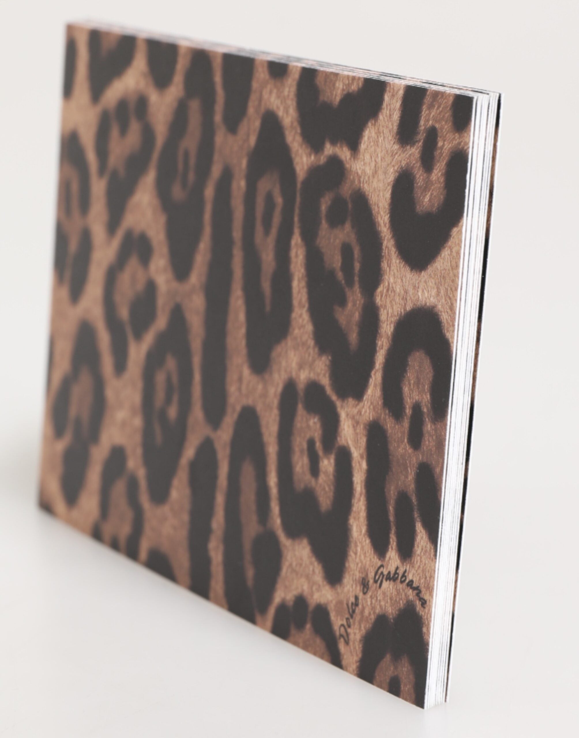 Dolce & Gabbana Leopard-Print-Umschlag Kartenetui aus Papier in verschiedenen Farben