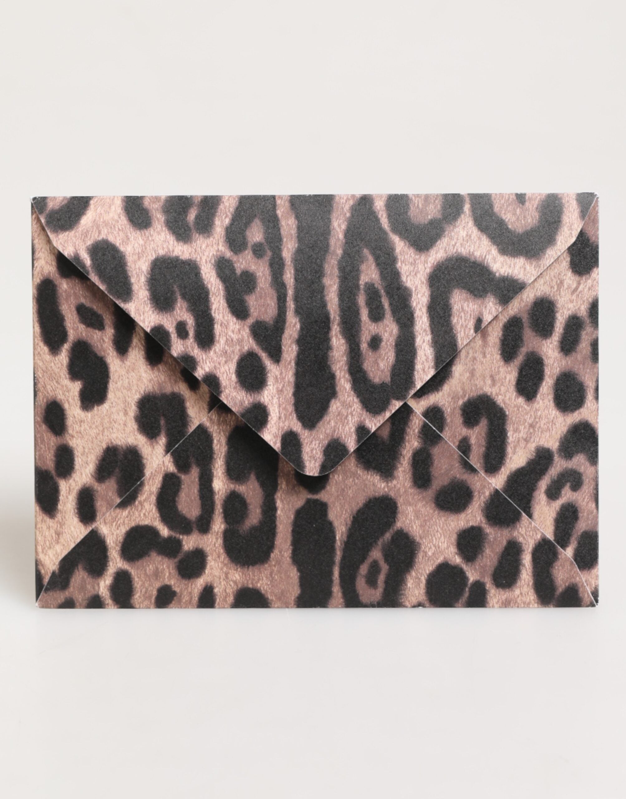 Dolce & Gabbana Leopard-Print-Umschlag Kartenetui aus Papier in verschiedenen Farben