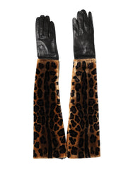 Dolce & Gabbana Braun Schwarzer Leoparden-Leder Ellenbogenlanger Fäustling