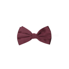 Dolce & Gabbana Bordeaux Zijden Strikdass