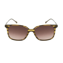 Belstaff Brown Titanium Sunglasses